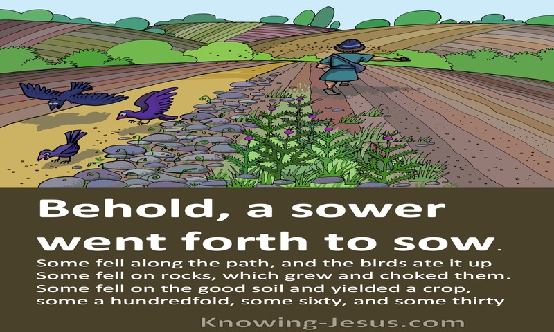 Matthew 13:4 to 8 A Sower Went Forth To Sow (brown)